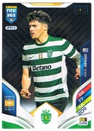 PANINI FIFA 365 2026 MAXI ARAUJO SPORTING CORE SPO13