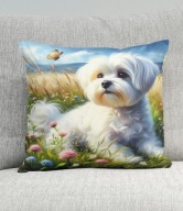 Poduszka 40/40cm Maltańczyk Maltese