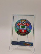 PANINI PREMIER LEAGUE 25 UNIKALNA KARTA KRYSZTAŁOWA SOUTHAMPTON FC