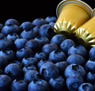 Borówka amerykańska Bluegold C2 40/50cm średnio wczesna