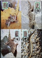 A51563)WWF-Maximum Karty Gady i Plazy: Kap Verde 500 - 503