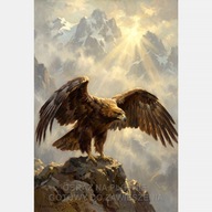 Orzeł obraz na płótnie 58x85 ptak góry promienie słońca mgła skrzydła art
