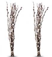 Bazie naturalne do dekoracji żywe dekoracja na Wielkanoc