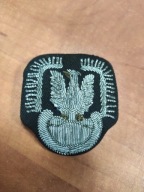 Orzeł wojsk lotniczych wz. 57