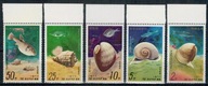 Korea Północna 1977 Znaczki 1668-72A ** ryby muszle ślimaki fauna morska