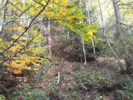 Działka, Wisła, Cieszyński, 9254 m²
