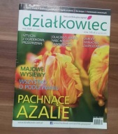 Działkowiec nr 5/2024 Pachnące Azalie