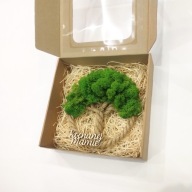 Drzewko Chrobotek Kochanej Mamie, oryginalny prezent na dzień mamy, 22cm