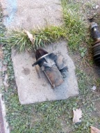 Rozrusznik Daewoo Nubira 1 I 2.0 16v