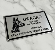 Grawerowana Tabliczka uwaga pies Doberman