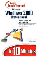 WINDOWS 2000 PROFESSIONAL Teach Yourself