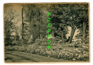 Kraków- Ogród Botaniczny Uniwersytetu Jagiellońskiego- Azalia pontyjska