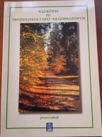 Wędrówki po trójmiejskim parku krajobrazowym Przewodnik