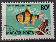 Ryby (kas) - luzak - do uzupełnień 13/8