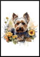 A2 PLAKAT PIES W KWIATACH RASA YORKSHIRE TERRIER