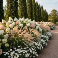 GOTOWA rabata - RÓŻ I BIEL - hortensja Polar Bear, rozplenica, złocień - 4M