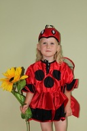 "Biedronka" przebranie, strój karnawałowy 4-5 lat Produkt Polski
