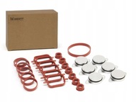 ZESTAW Zaślepki kolektora BMW E60 E46 E90 E71 X5 X6 M57 6x32mm