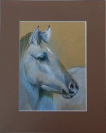 koń portret konia akwarela na papierze