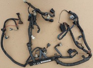 WIĄZKA SILNIKA RENAULT VEL-SATIS 3,0 DCI 8200185766