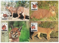 5-GK43- Somalia,1998- Ssaki-Karakal