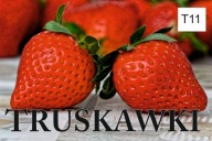 BANER SPRZEDAŻ TRUSKAWKI TRUSKAWKA 100x50 T11