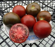 Pomidor Black Master plenny smaczny nasiona kolekcjonerskie