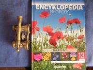 ENCYKLOPEDIA PRZYRODY ROŚLINY 16 Praca zbiorowa