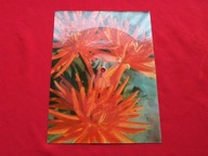 TRUBADURZY KRAWCZYK nie przynoś mi kwiatów dziewczyno POCZTÓWKA DŹWIĘKOWA