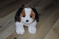 pluszak maskotka fajny pies piesek