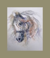 MALARSTWO- PORTRET -KONIA KONI SIWEK -AKWARELA