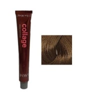Lakme Collage Farba do Włosów Trwale Kryjąca 8/60 Chestnut LightBlonde 60ml