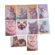 Zestaw 10 pocztówek z kotami, KAW, 1976 r.