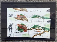 Folder Nowodruki A+B Zwierzęta Domowe Kameleon NUMER