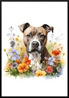 A2 PLAKAT PIES W KWIATACH RASA AMERICAN STAFFORD AMERYKAŃSKI