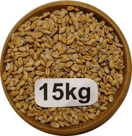 Pszenica Ozima Konsumpcyjna/Paszowa 15kg, 2025r