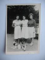 TRZY DZIEWCZYNY PSY PIES stare FOTO