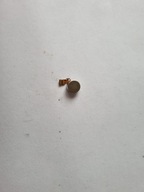 Wibracja silniczek ORYG HUAWEI P20 PRO