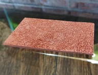 Płytka ceramiczna szczepienie fissidens od fibell