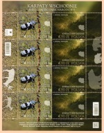 Fi 5475-5476 ** KARPATY WSCHODNIE ARKUSZ 2025