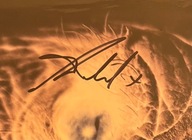 LISA GERRARD JULES MAXWELL One Night In Porto LP DEAD CAN DANCE + AUTOGRAF