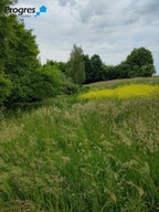 Działka, Cieszyn, Cieszyński, 850 m²