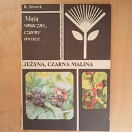 Słowik - Mają smaczne czarne owoce - jeżyna czarna malina
