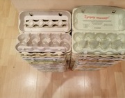 Wytłaczanki na jajka na 10jajek- 100szt