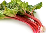 Rabarbar Malinowy Piękne Sadzonki (3 - Letnie)