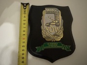 Ryngraf - SOW Od Dowódcy Śląskiego Okręgu Wojskowego