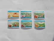 Rumunia 3873-8 Rolnictwo **