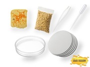 Zestaw S do hodowli Physarum polycephalum