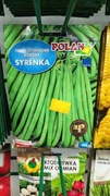 Fasola szparagowa karłowa SYRENKA 50g