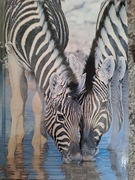 #143 Zeszyt, 96, krata, zebry